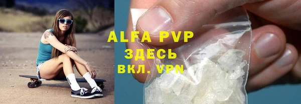 винт Губаха