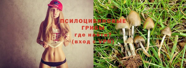 хмурый Баксан