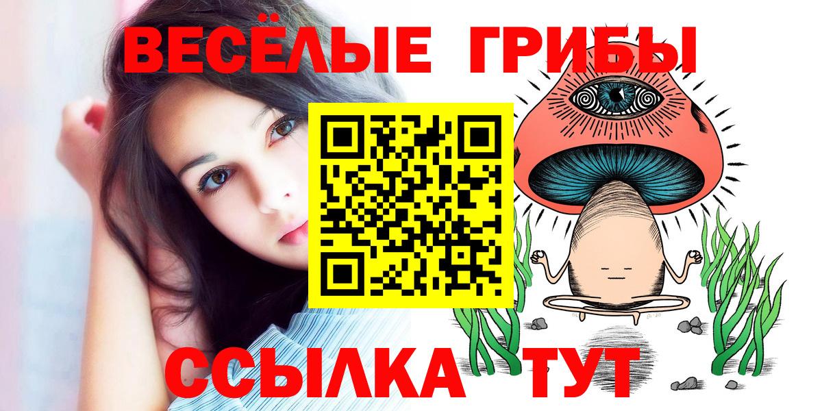 Псилоцибиновые грибы Cubensis  Псилоцибиновые грибы Cubensis  Заречный  Вход с VPN 