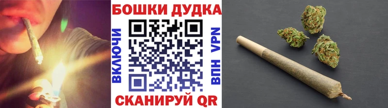 Бошки Шишки SATIVA & INDICA  купить наркоту  Заречный 